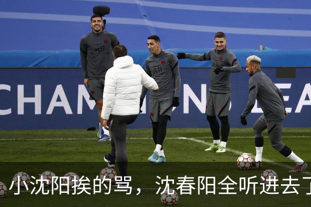 小沈阳挨的骂，沈春阳全听进去了：赵家班的老兄弟一个不用！